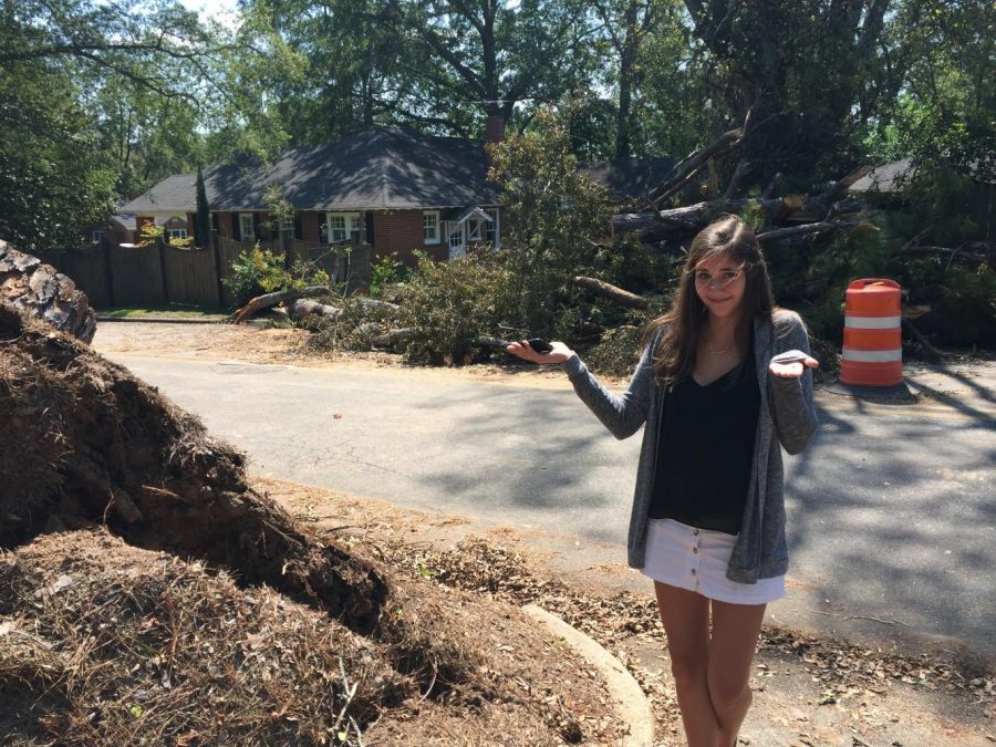 Junior Maggie McCullough stands next the stump of a large pine tree that fell in her front yard on Overlook Avenue, crushing a neighbors fence.