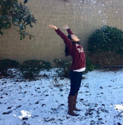 SNOW DAY (and the day after)