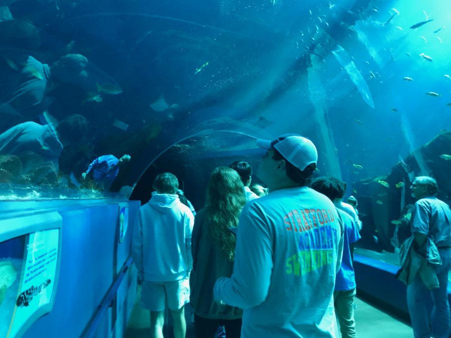 Biology+Club+students+visited+Georgia+Aquarium+on+a+field+trip+last+Friday