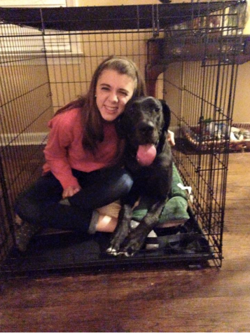 Puppy Love