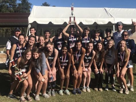 Cross country teams sweep area meet