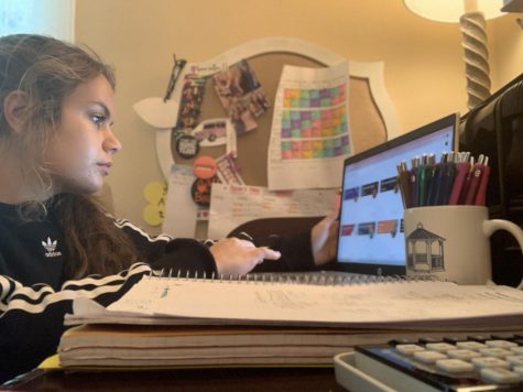 Learning from home effective, but left feeling isolated