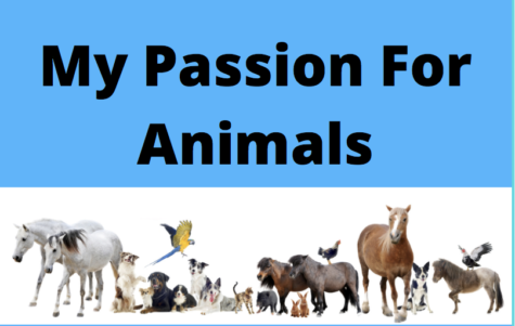 PODCAST: My passion for animals